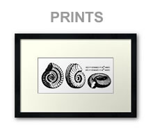 Math Prints & Posters