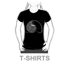 Math T-Shirts